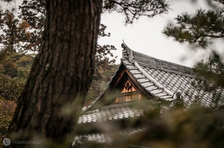 First glimpse of a looming obsession.