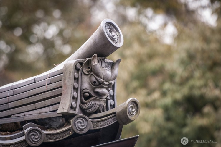 This guy had stubby horns and and interesting ear design.