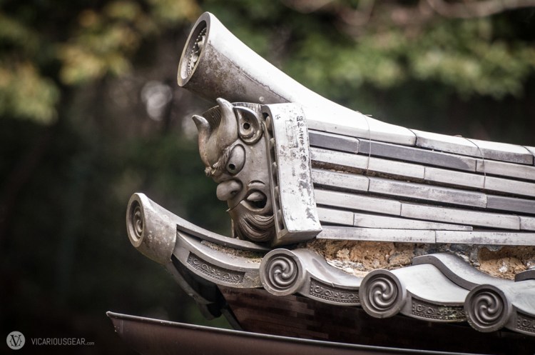 I suspect by the look of this one's jaw that he may like shrimp.