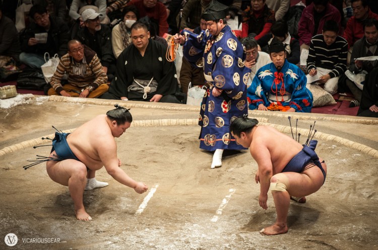 Intense staring match.