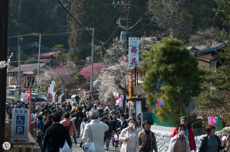 Hordes of visitors on their way to Ume-no-Koen park.