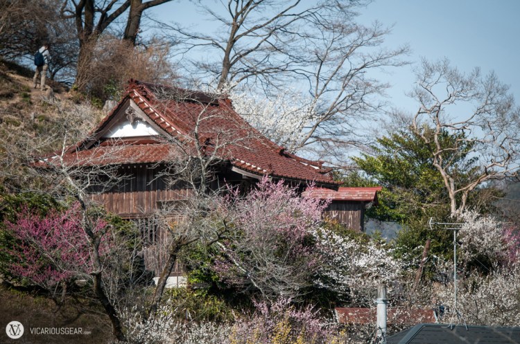 The coolest looking restroom building I've come across.