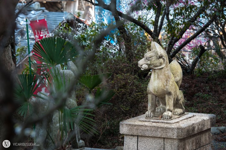 A statue of Inari (fox-like spirit/god of the shinto religion) in front of a small shrine on the way out. Quite a fitting choice for the area.