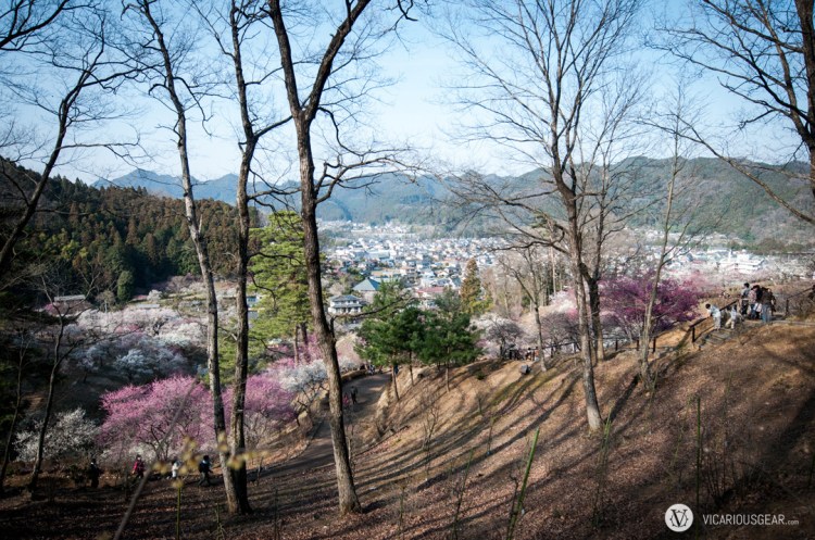 A view while descending from the top of the park.
