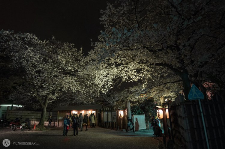 The entrance to Sankeien garden. The streets were dusted with Sakura petals.