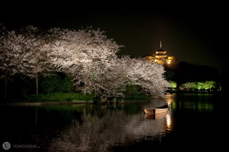 You were greeted by this surreal scene of the Sankeien pagoda a few steps after the entrance.
