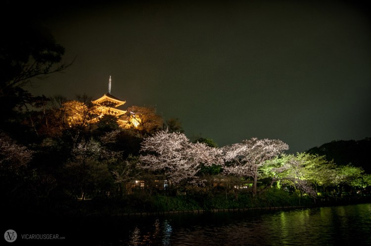 You can barely make out the covered seating areas for people to picnic behind the trees.