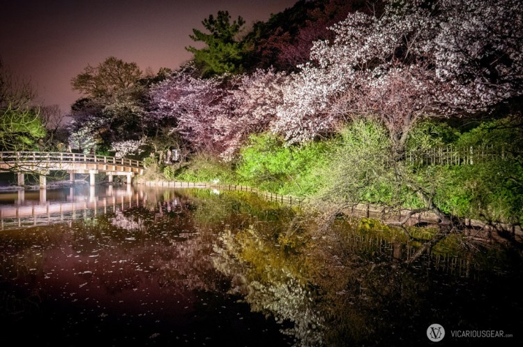 Despite the constant breeze, the ponds provided some pretty nice reflections.