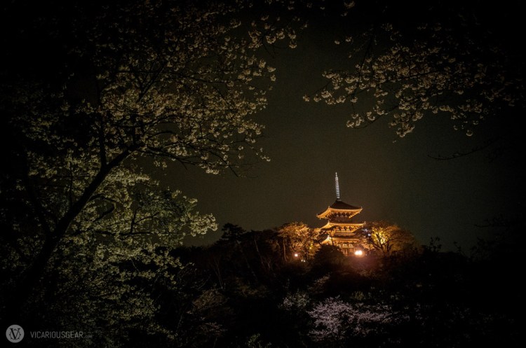 The pagoda was undoubtedly the main draw aside from the blossoms. Unfortunately the path leading to it was not lit and closed at 17:00.