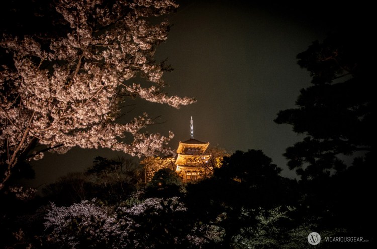 One last view of the pagoda with some pinkish blossoms.