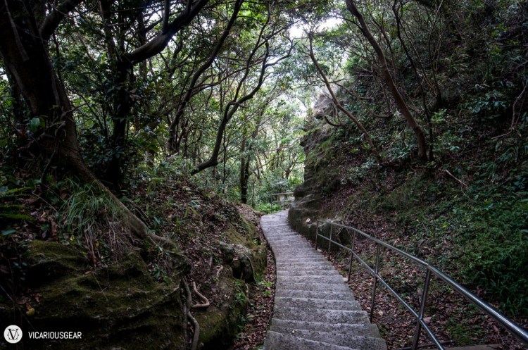After descending from the chiseled stone, the path became quite nicely paved.