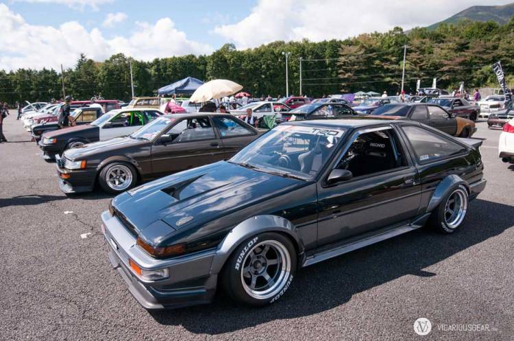 There were a huge amount of Levins and Truenos around.