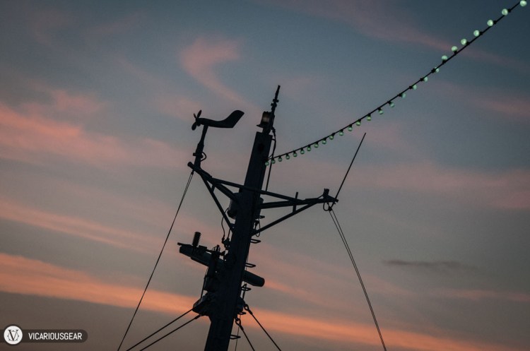 A string of the lightbulbs I mentioned earlier.