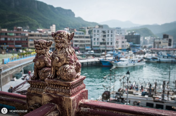 The intricate lions on the railings hinted at what might be inside.