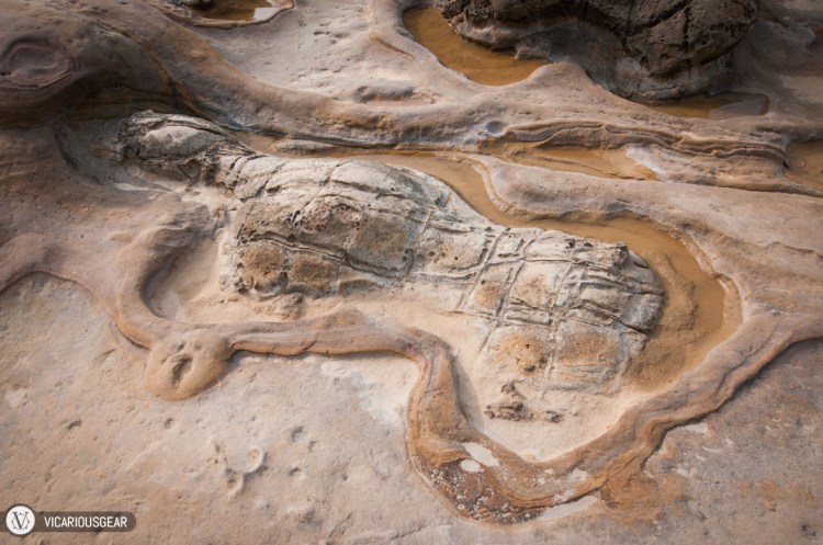 This formation wasn't listed but I thought it looked like a leopard version of Han Solo in carbonite. 