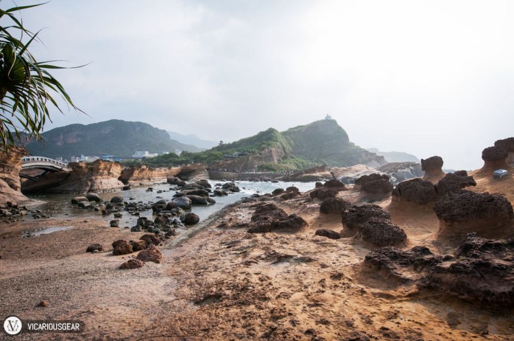 I half expected a Pterodactyl to fly overhead or a T-Rex to pop out.