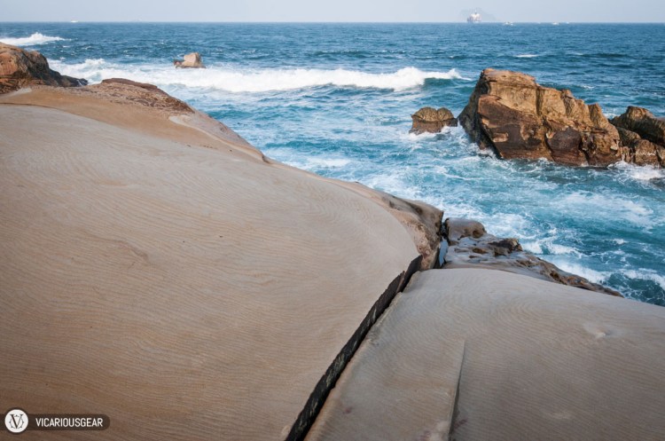 We had free rein over this small area.