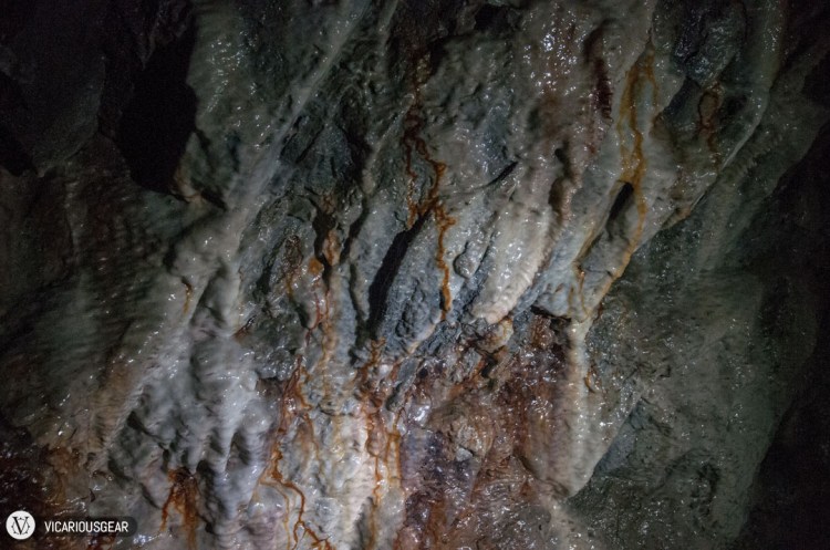 The start of some calcium formations that Mimi found.