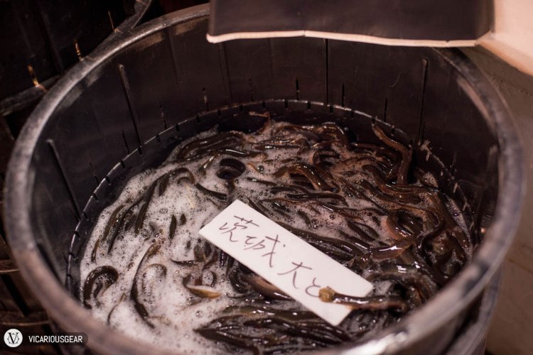 A bucket of mini eels. I definitely prefer seeing these in their cooked state.