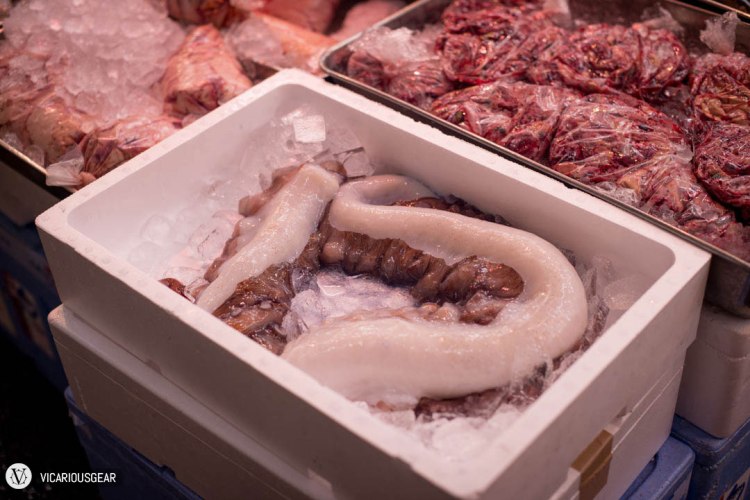 Another set of octopus tentacles.