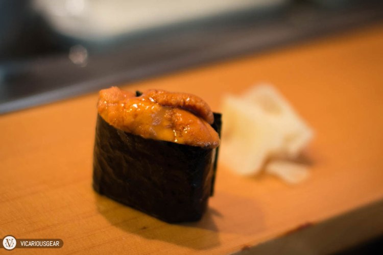 Sea Urchin (Uni). 