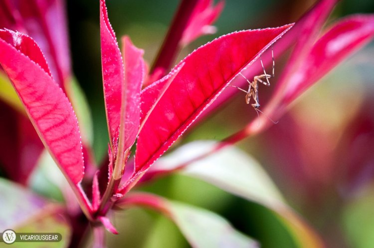 It turned into a fun photo op.